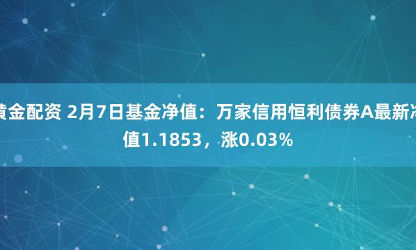 黄金配资 2月7日基金净值：万家信用恒利债券A最新净值1.1853，涨0.03%