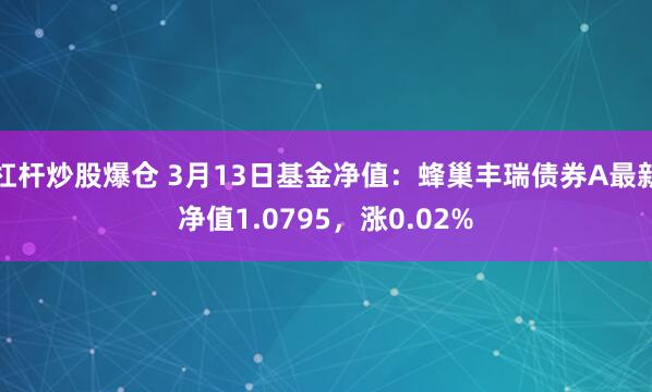 杠杆炒股爆仓 3月13日基金净值：蜂巢丰瑞债券A最新净值1.0795，涨0.02%