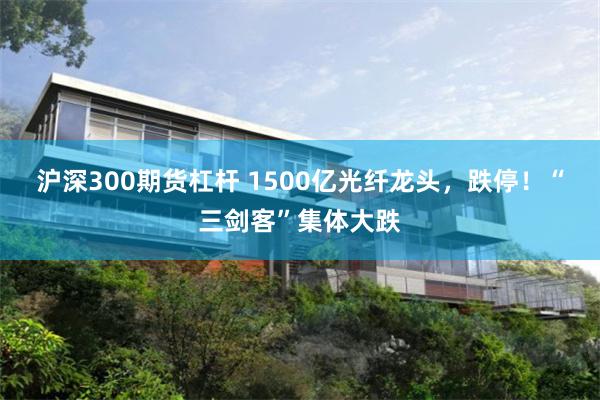 沪深300期货杠杆 1500亿光纤龙头，跌停！“三剑客”集体大跌